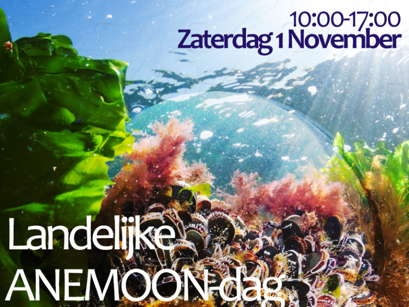 Landelijke ANEMOON-dag 2025