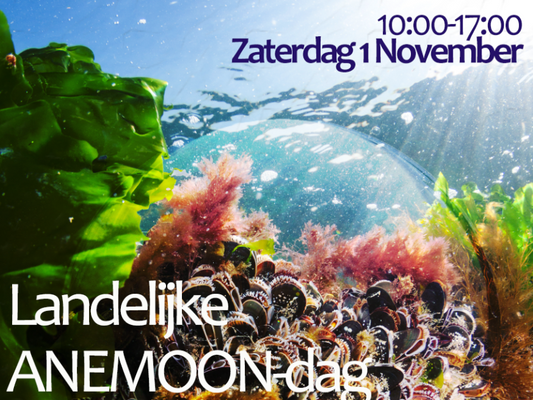 Landelijke ANEMOON-dag 2025